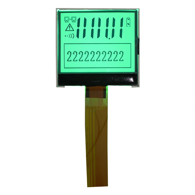 Moduł wyświetlania LCD graficzny i segmentowy LCD